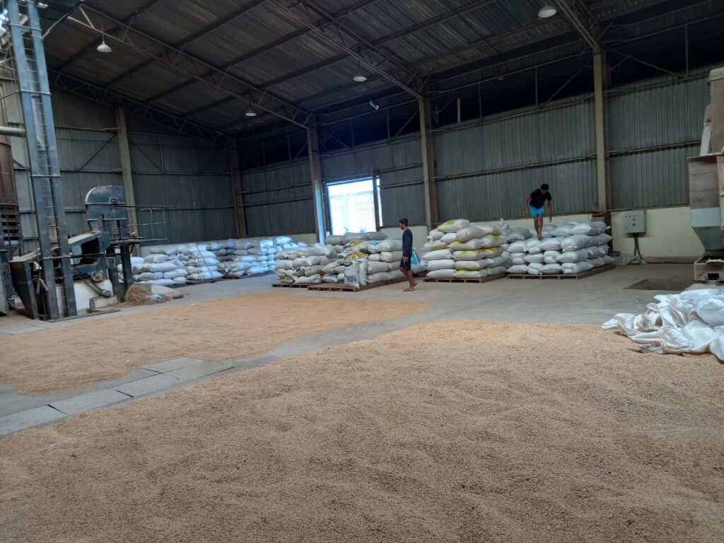 As unidades da Cageacre recebem a safra de grãos para armazenamento, secagem, beneficiamento e ensacamento da produção agrícola. Foto: cedida