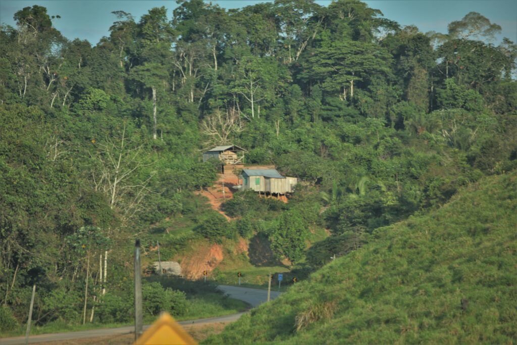 Área de proteção do Acuráua, entre o município de Tarauacá e Cruzeiro do Sul; região é destinada a conservação ambiental, onde moradores criam dado sem desmatar. Foto: Odair Leal/Secom