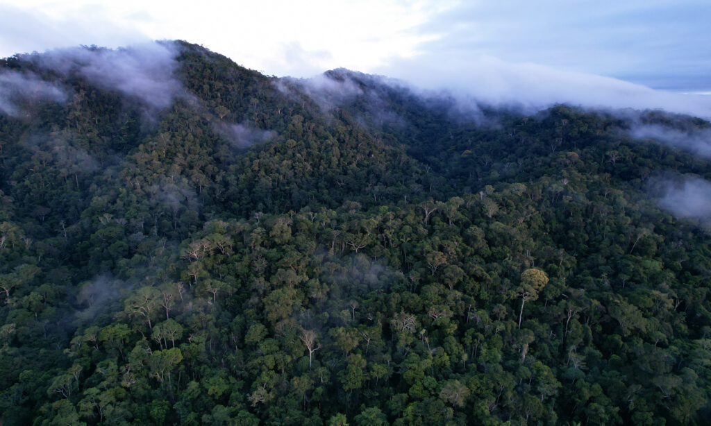 Vista aérea da região da Serra do Divisor, o ponto mais ocidental do Brasil, localizado no Vale do Juruá, dentro do parque nacional de mesmo nome; região está entre as de maior biodiversidade do planeta. Foto: Pedro Devani/Secom