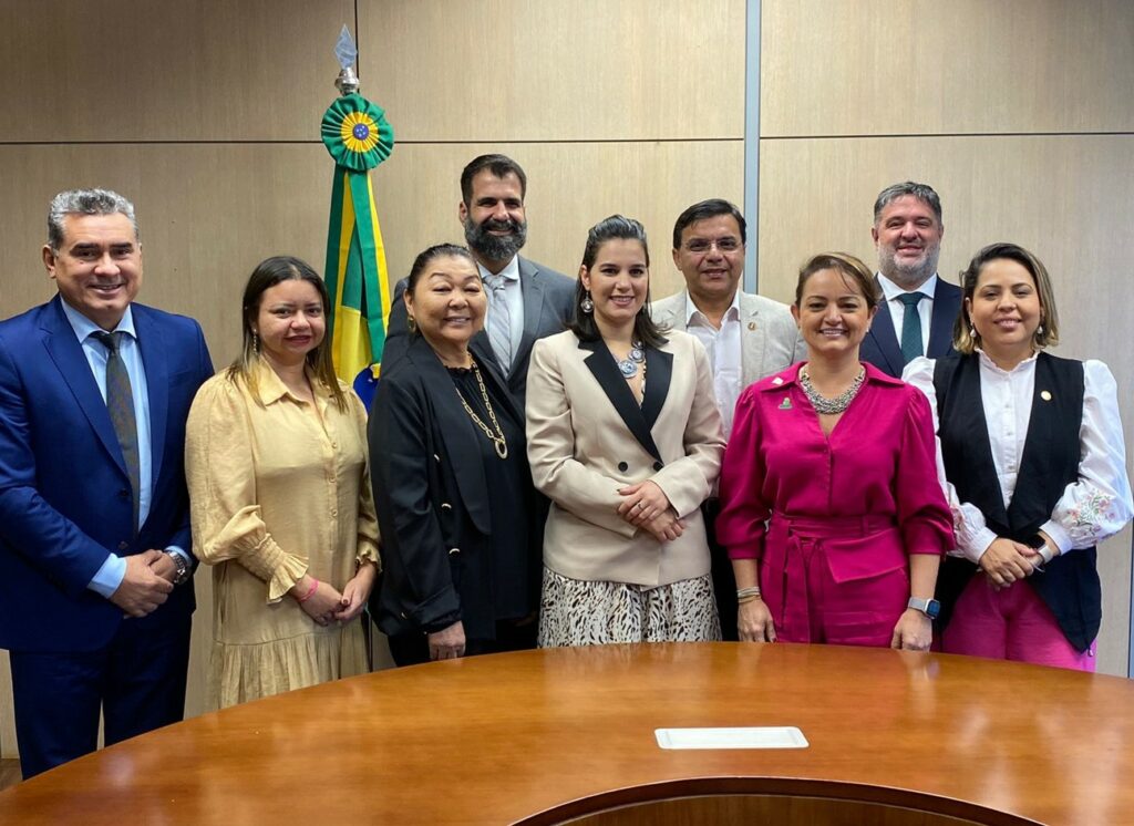 Fórum é composto por representantes dos nove estados da Amazônia Legal. Foto: Divulgação/GCF