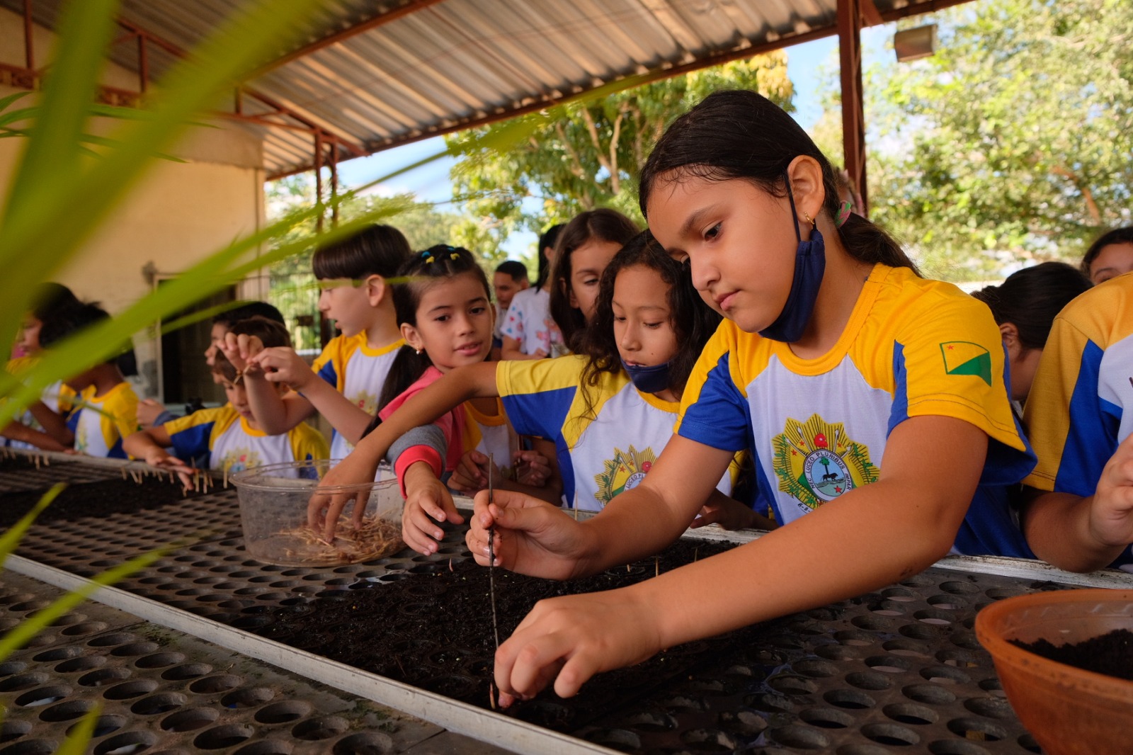 Crianças participaram de atividades de plantio no Viveiro da Floresta. Foto: Alexandre Cruz-Noronha/Semapi