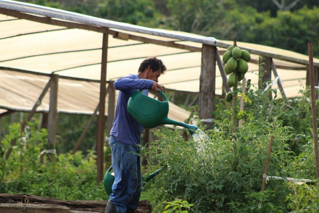 Na Fazendinha, 37 presos desenvolvem atividades laborais. Foto: Clebson Vale/Iapen