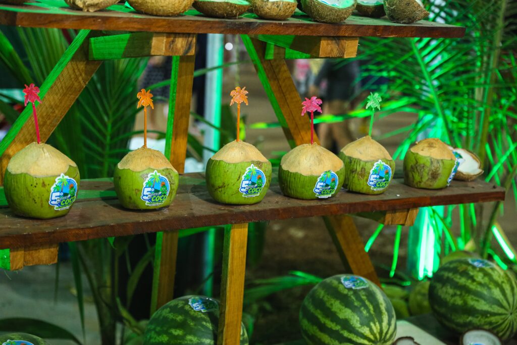 Mâncio Lima exporta aproximadamente 70 mil cocos por mês. Foto: Marcos Santos/ Secom