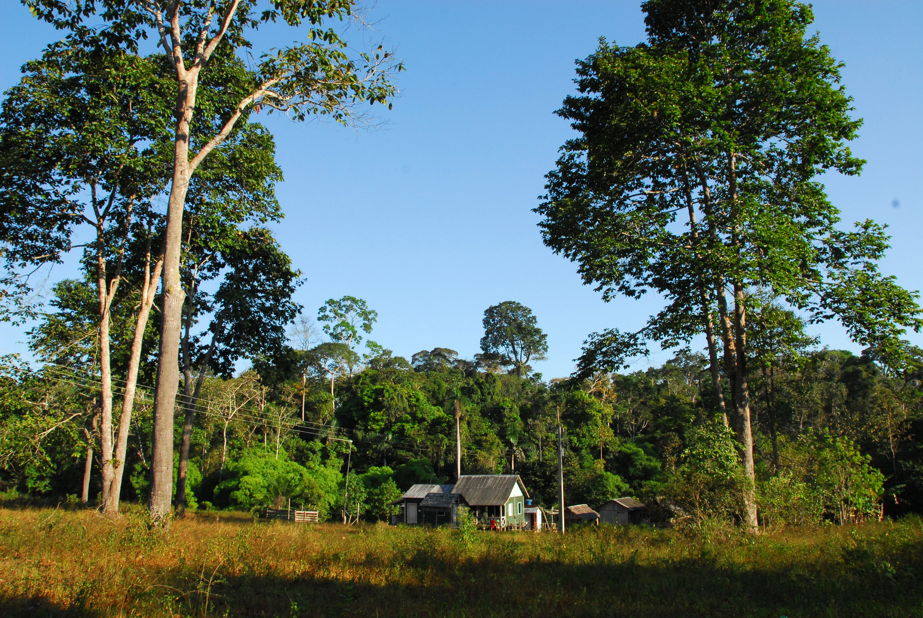 Meio Ambiente amplia parceria para garantir segurança nas florestas estaduais
