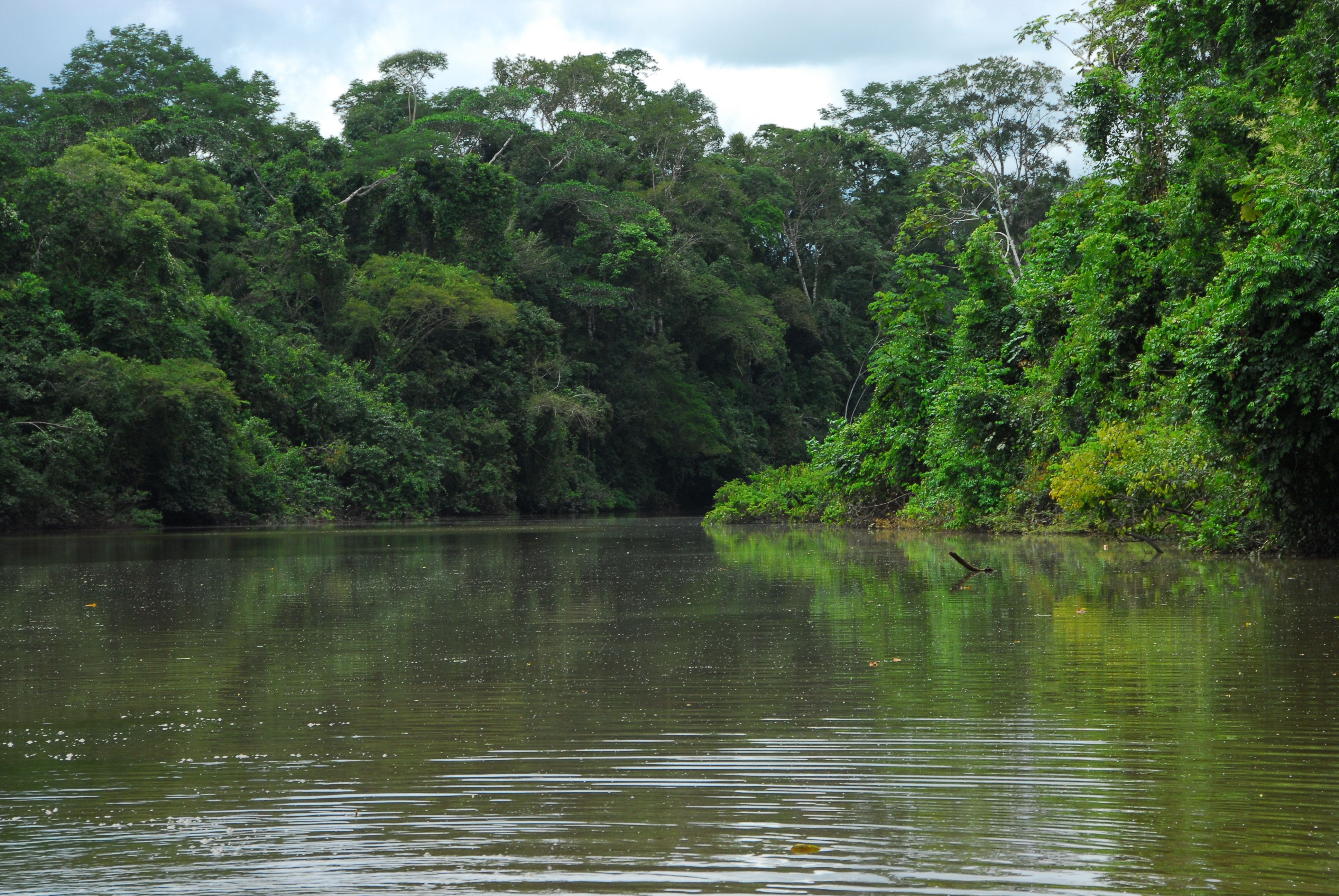 Meio Ambiente dá posse a 50 conselheiros das APAs Lago do Amapá e Igarapé São Francisco