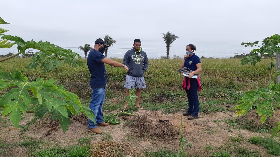 Governo leva assistência técnica para família que apostou em fruticultura em Assis Brasil