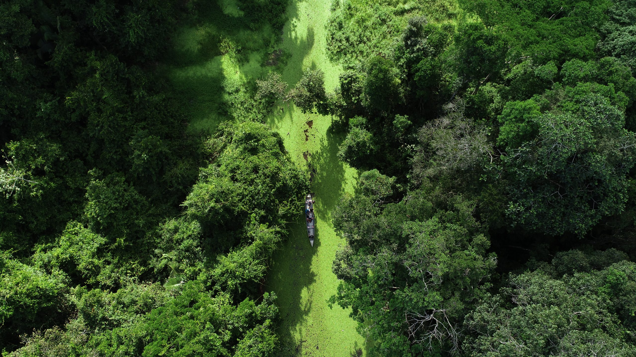 Zoneamento Ecológico-Econômico do Acre é destaque entre os estados da Amazônia Legal