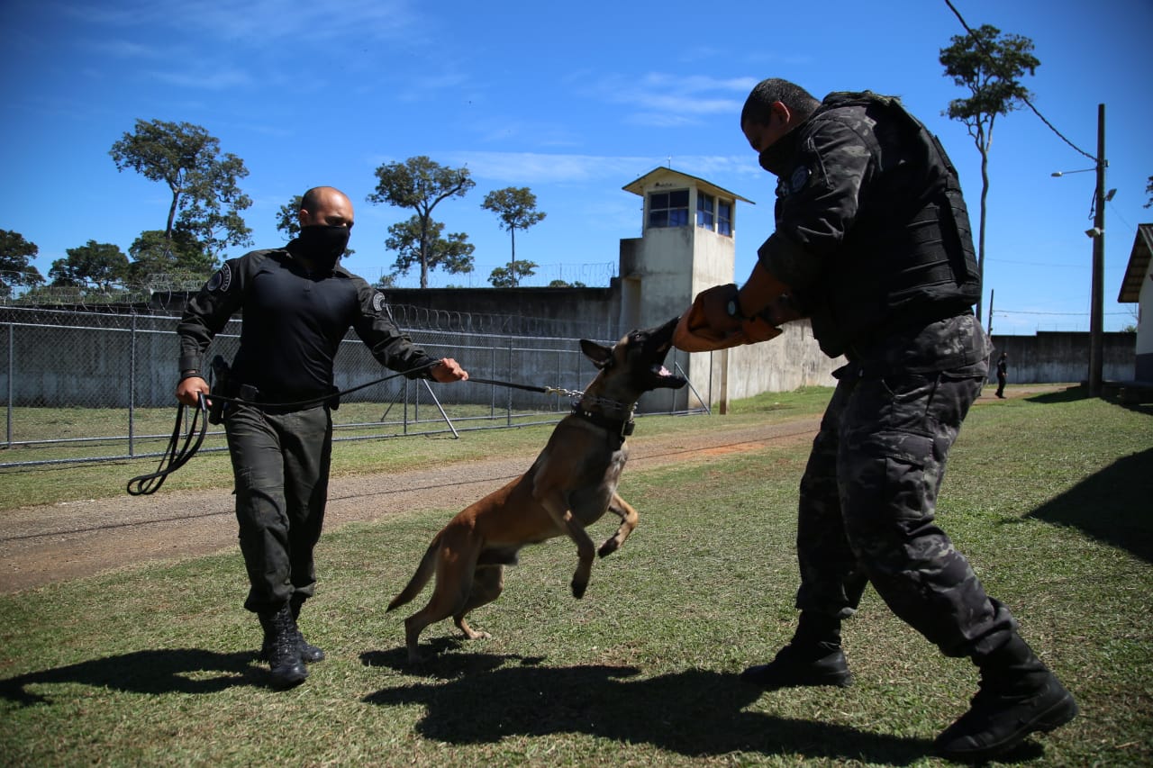 Iapen inaugura corredor de segurança com cães em presídio de Senador Guiomard