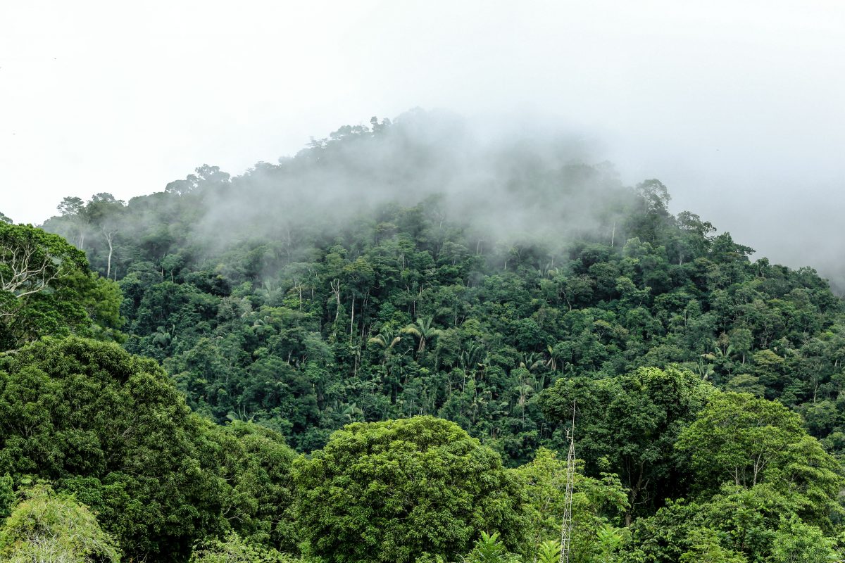 Governo recupera mirante do Parque Nacional da Serra do Divisor