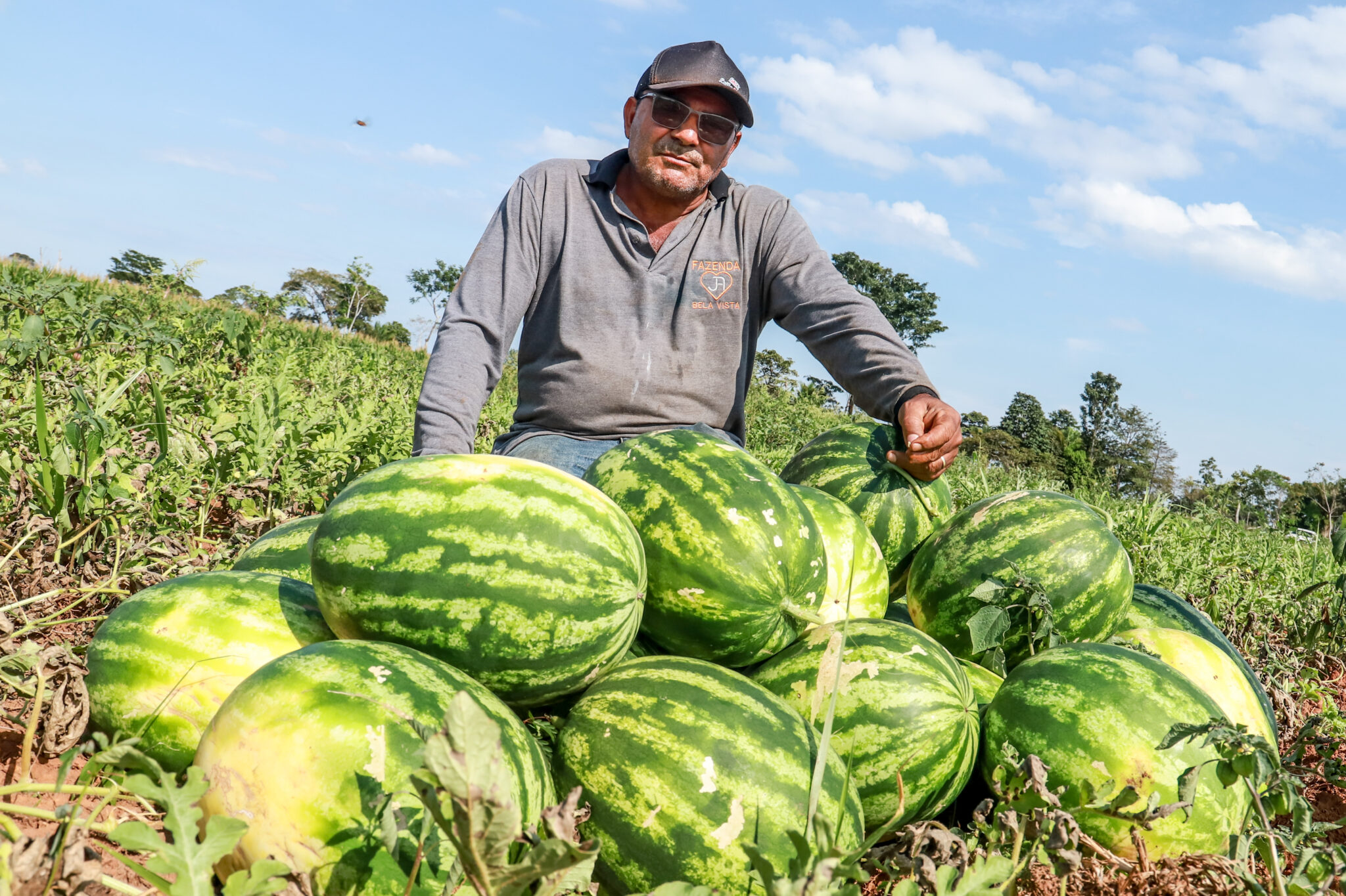Estado incentiva produção de melancia no Acre