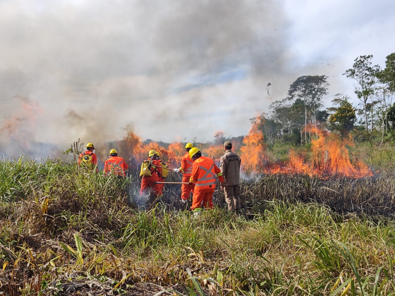 Governo investe na capacitação de brigadistas voluntários no combate a incêndios florestais