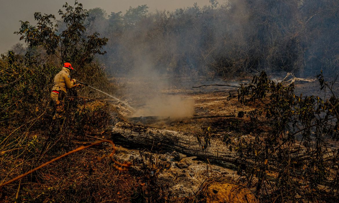 Abertas as inscrições para palestras presenciais com bombeiros especialistas do Mato Grosso do Sul sobre operações no Pantanal