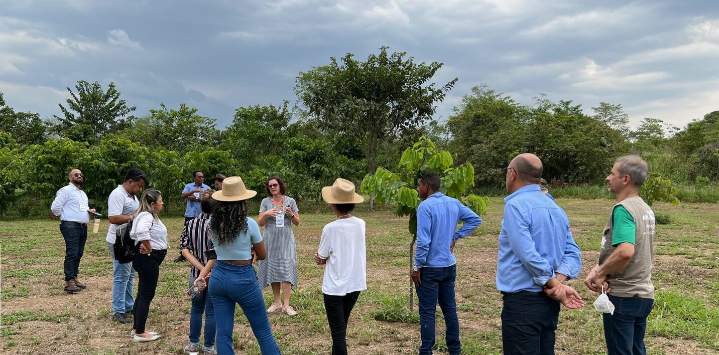 Servidores do Acre participam de capacitação para aumentar a produção de castanha-do-brasil