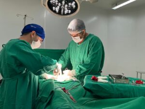 Os mutiroes acontecem em três municípios neste final de semana