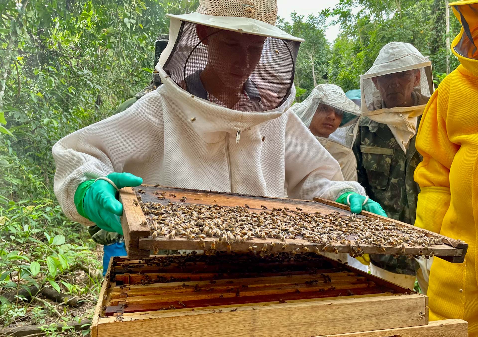 Em Xapuri, governo realiza segundo módulo de curso de apicultura