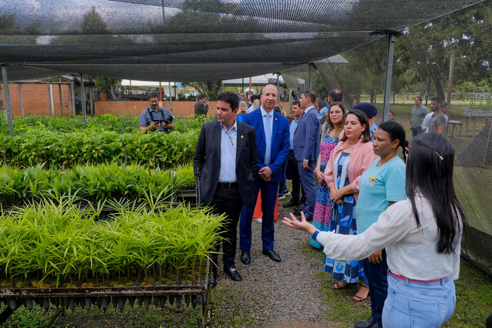 Governador visita biofábrica de clonagem de plantas no Viveiro da Floresta e lança mutirões de regularização ambiental