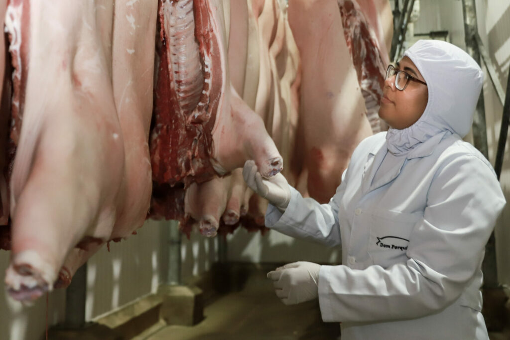 Incremento na exportação da carne suína foi de 250% em 2023. Acre é o segundo maior exportador de carne suína para o Peru. Foto: cedida