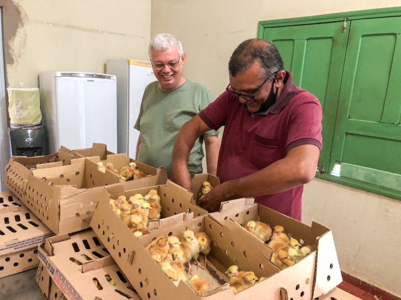 Governo impulsiona agricultura familiar com investimentos na avicultura