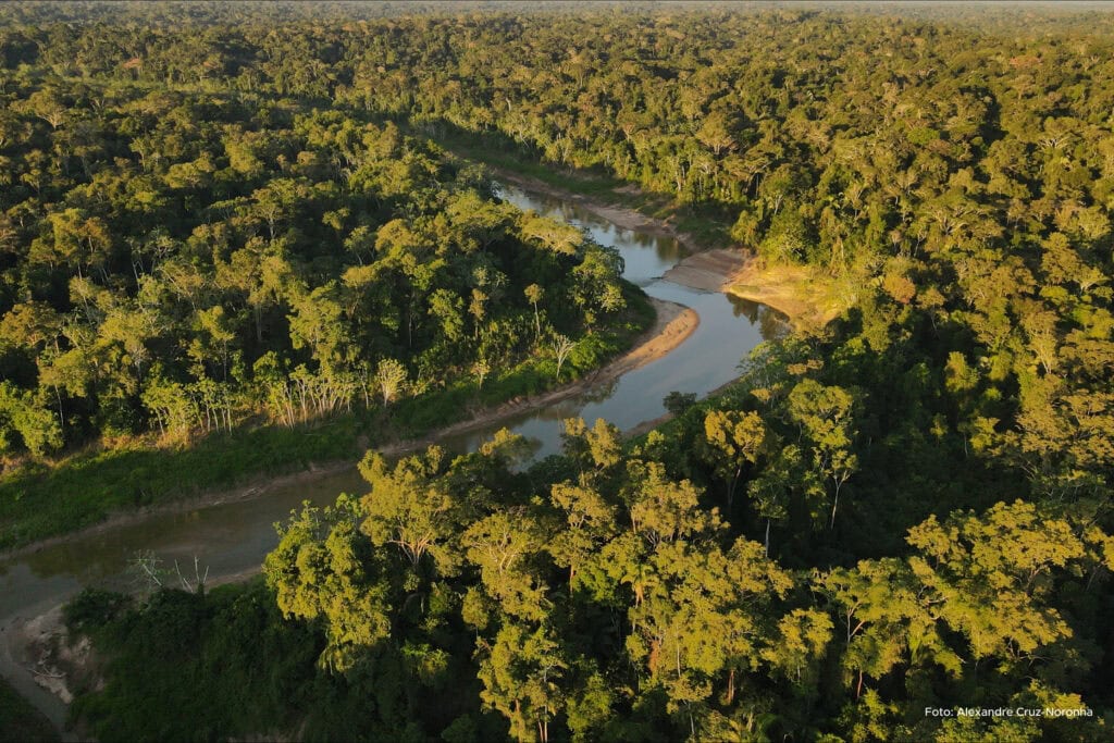 Dia da Amazônia é celebrado nesta quinta-feira, 5. Foto: Alexandre Cruz-Noronha/Sema