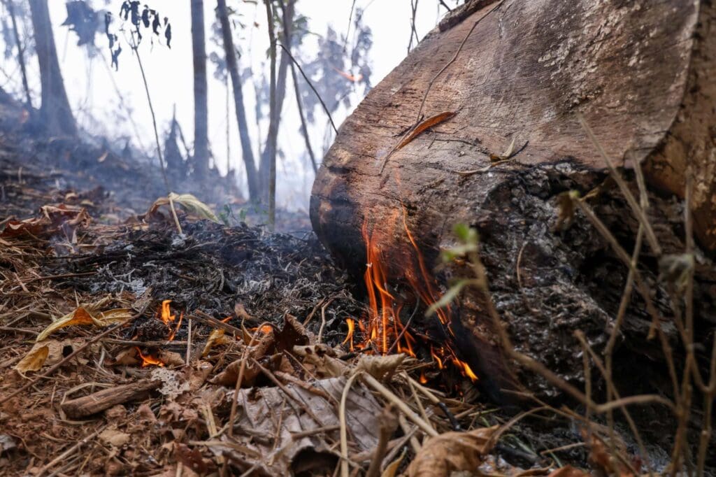 Governo do Acre implementa medidas emergenciais para enfrentar a seca extrema, incluindo suspensão de autorizações de queima e monitoramento constante. Foto: Pedro Devani/Secom