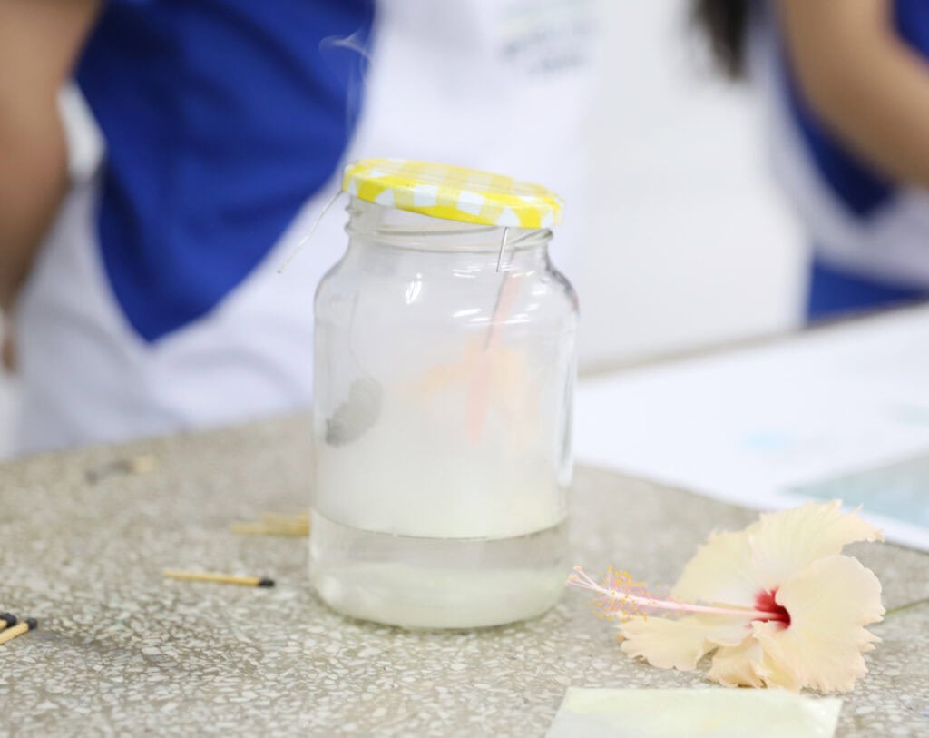 Experimento utiliza modelo prático e acessível para explicar o fenômeno da chuva ácida, com foco nos ciclos biogeoquímicos. Foto: Mardilson Gomes/SEE