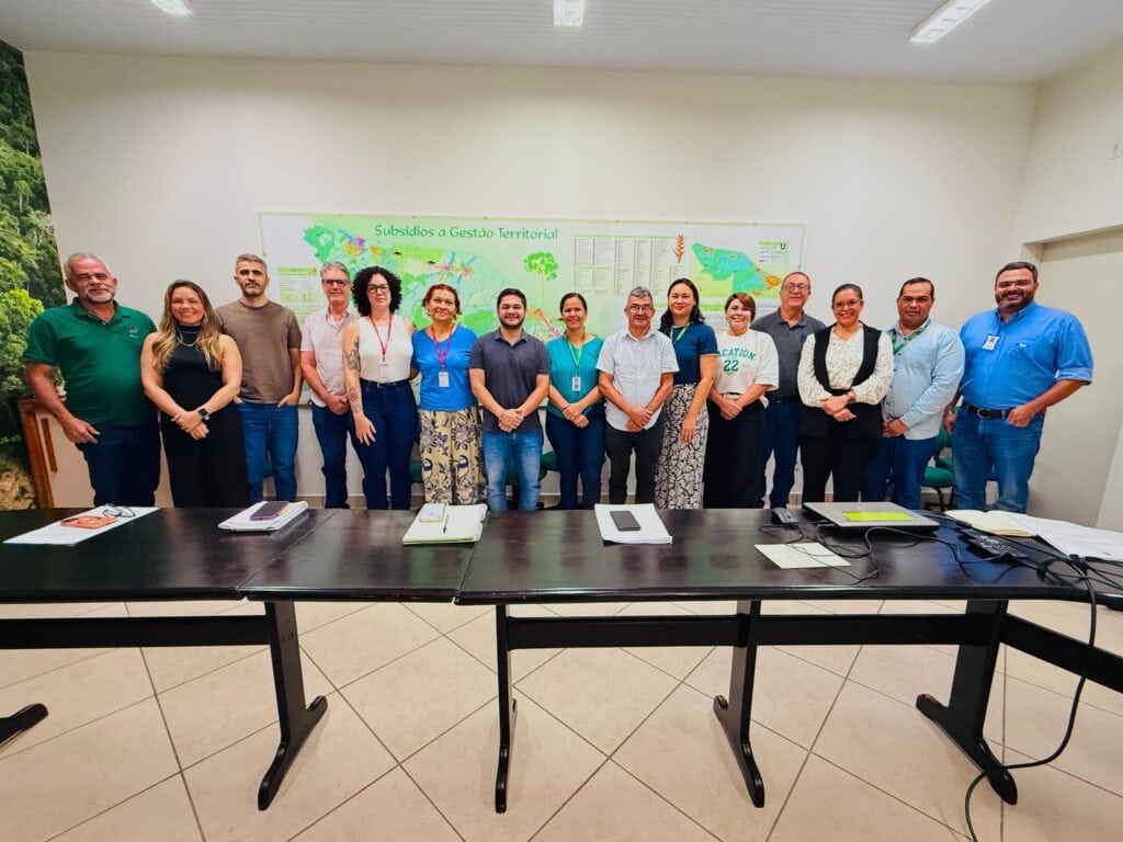 Membros da Câmara Técnica de Meio Ambiente debatem ações de regulamentação e licenciamento ambiental. Foto: Uêslei Araújo/Sema