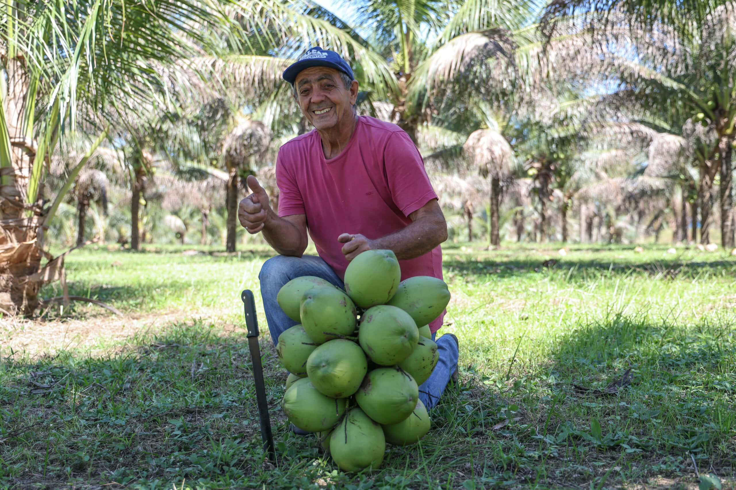 Estado reconhece protagonismo do pequeno produtor e amplia políticas de estímulo à economia local