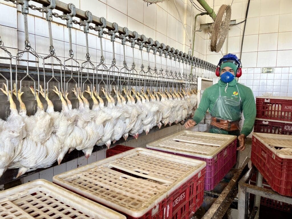 Pecuária do Acre cresce 20% e movimenta R$ 181 milhões com ações do governo que impulsionam a economia rural