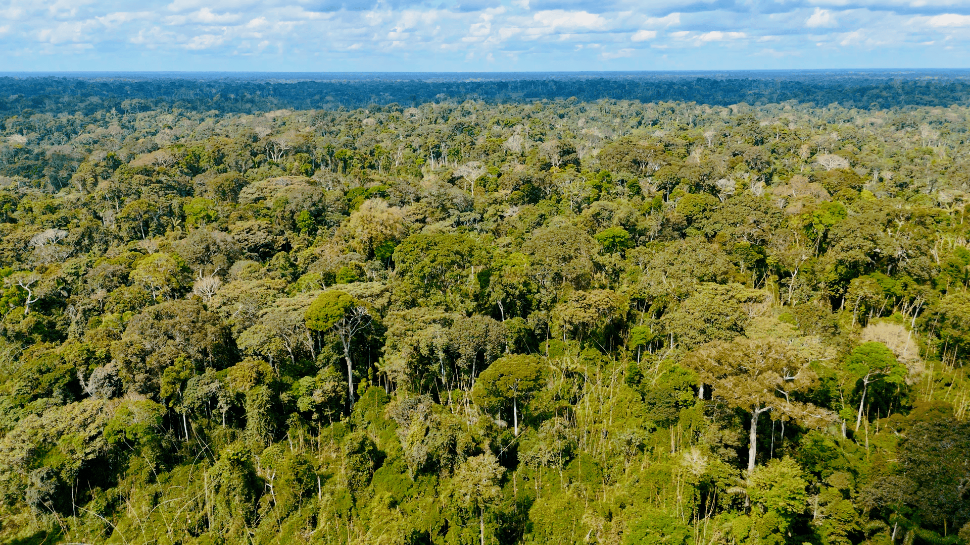Acre registra redução de 27,62% no desmatamento e cumpre metas anuais do Plano de Prevenção e Controle do Desmatamento e Queimadas. Foto: Uêslei Araújo/Sema
