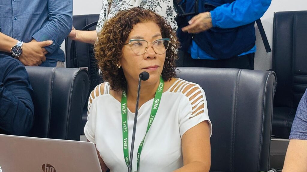 Chefe da Divisão de Recursos Hídricos da Sema, Maria Antônia Zabala, explica objetivo da reunião. Foto: Ana Thais Cordeiro/Sema