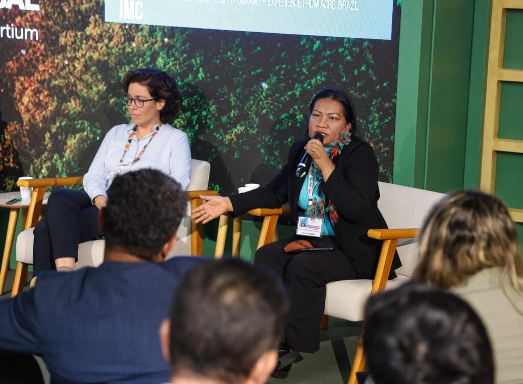 C=Secretária de Povos Indígenas, Francisca Arara, participou do painel e reforçou a importância do diálogo entre governo e povos indígenas Foto: Pedro Devani/Secom.