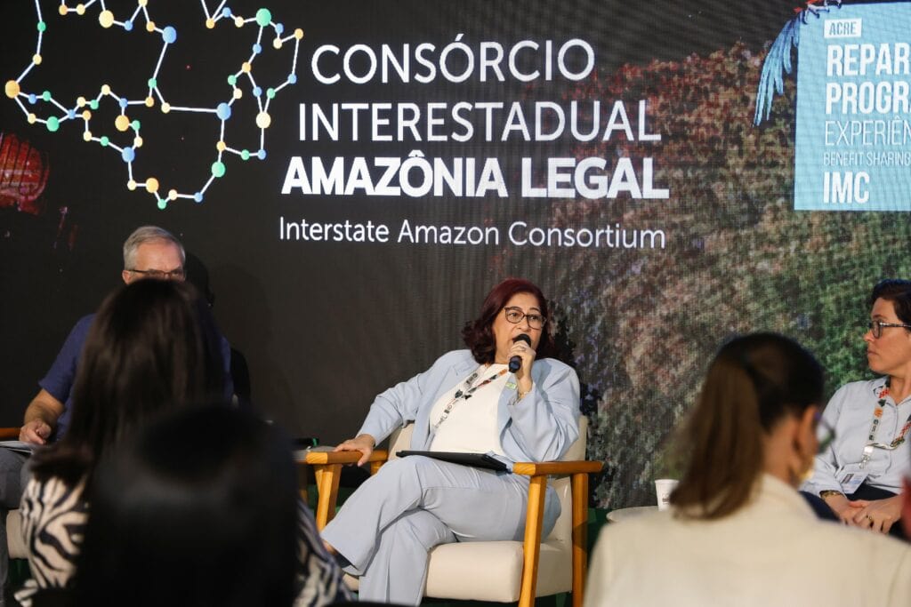 Presidente do Instituto de Mudanças Climáticas (IMC), Jaksilande Araújo, foi a responsável pela apresentação do painel. Foto: Pedro Devani/Secom.