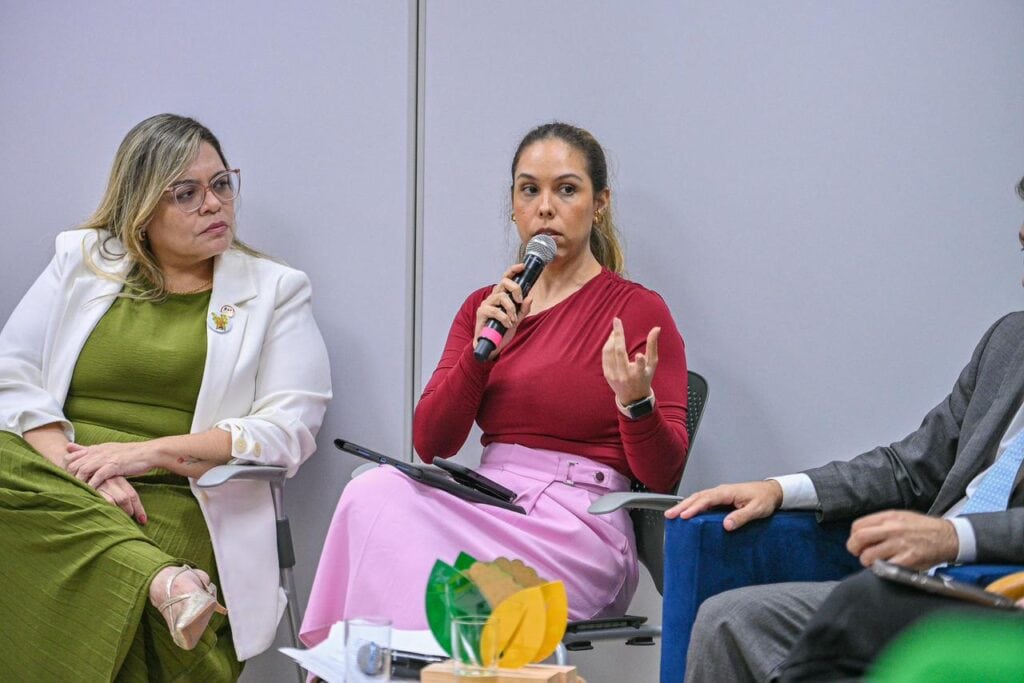 Assessora técnica para Assuntos Internacionais da Casa Civil, Aline Albuquerque, falou sobre o Plano Emergencial de Enfrentamento às Enchentes do Acre. Foto: Diego Gurgel