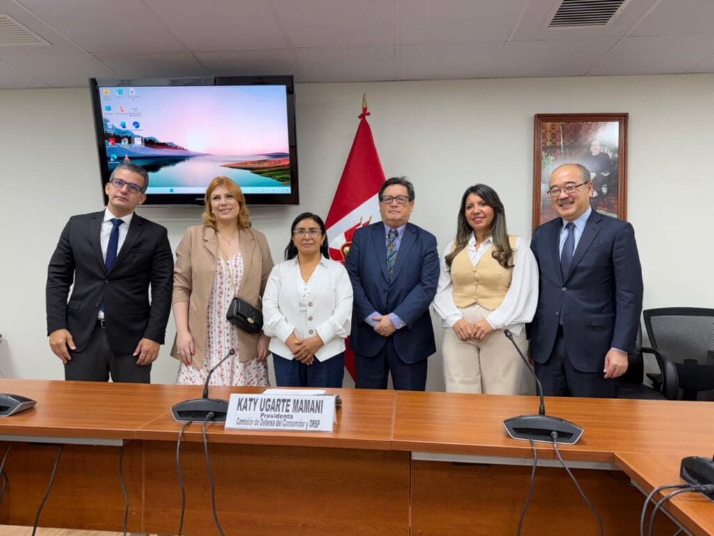 Reunião com a presidente da Comissão de Defesa do Consumidor, Jhakeline Katy Mamani. Foto: cedida