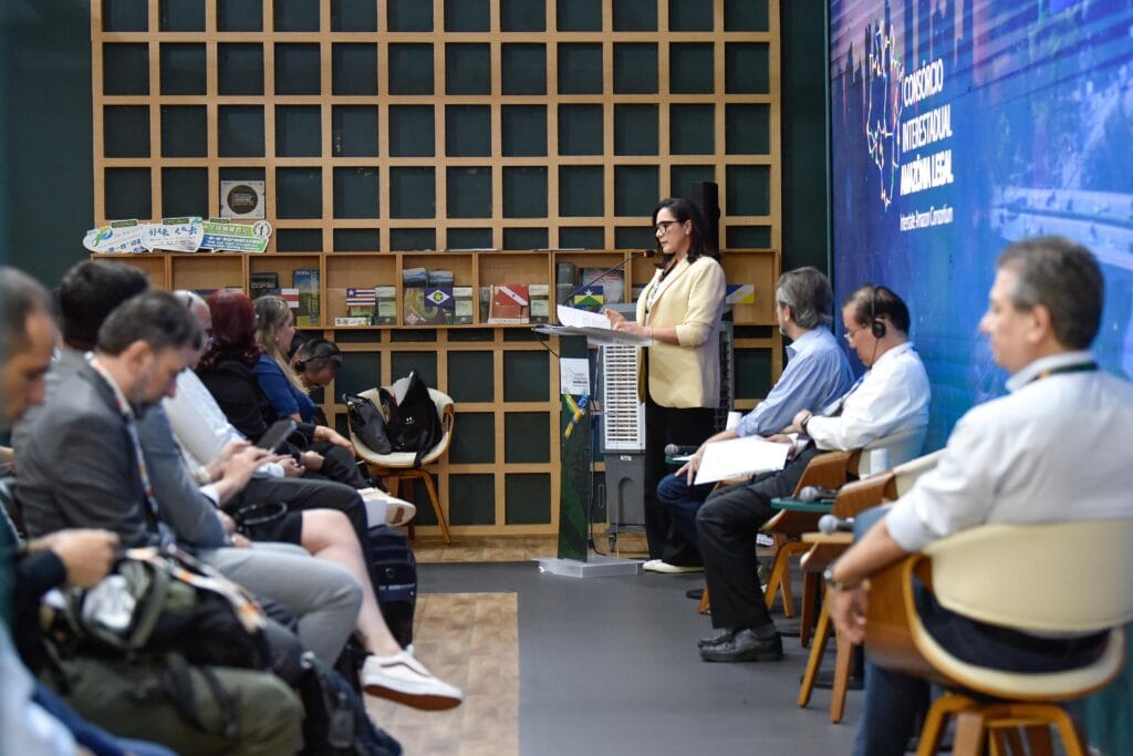 Vice-governadora Mailza Assis participou do painel Brasil and China Towards Sustainability in a Shared Future, que reuniu autoridades e especialistas da China e do Brasil. Foto: Pedro Devani/Secom.