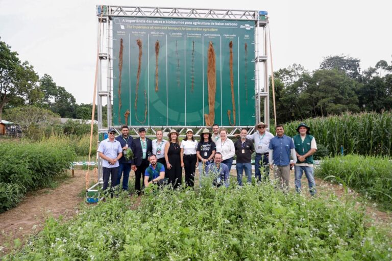 Vice-governadora Mailza visita AgriZone na COP30 e conhece iniciativas de agricultura sustentável e inovação tecnológica da Embrapa