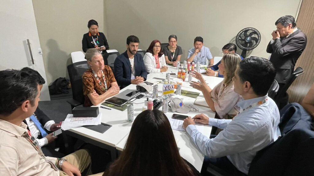 Bolívia busca parcerias internacionais para acesso a mecanismos de financiamento climático. Foto: Ângela Rodrigues/IMC