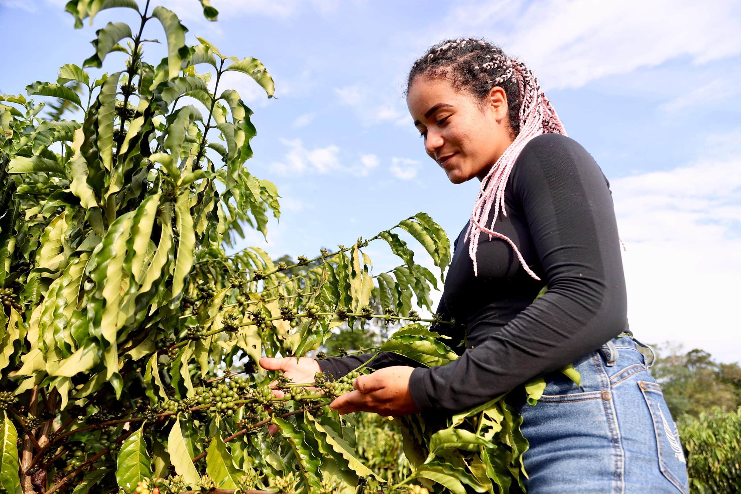 História de Gabriele inspira diversas outras mulheres que sonham em produzir café. Foto: Alice Leão/Secom