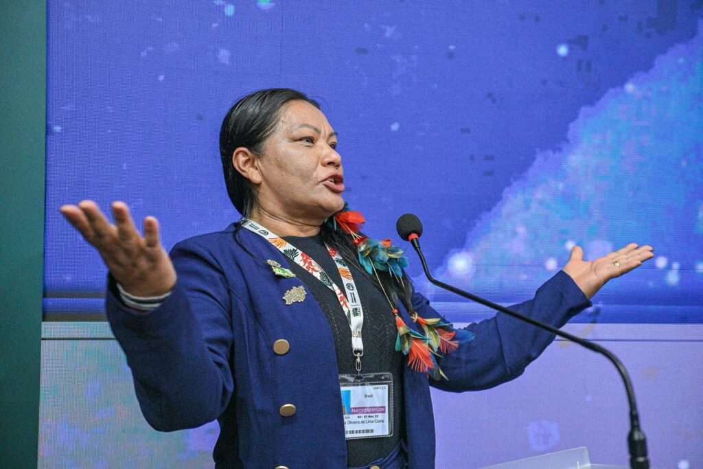 Secretária Francisca Arara representou o Acre no painel. Foto: Diego Gurgel/Secom