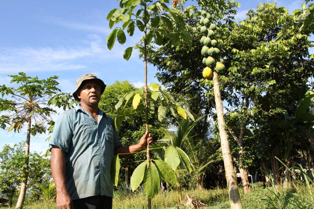 Práticas sustentáveis fortalecem a produção e, aliadas a ações de comando e controle, ampliam os resultados no enfrentamento ao desmatamento. Foto: Acervo REM