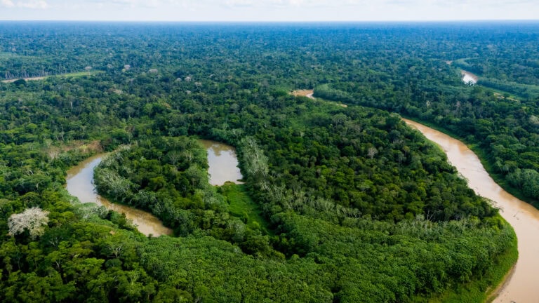 Secretaria do Meio Ambiente consolida avanços históricos na agenda ambiental e reforça a proteção da floresta e das populações tradicionais