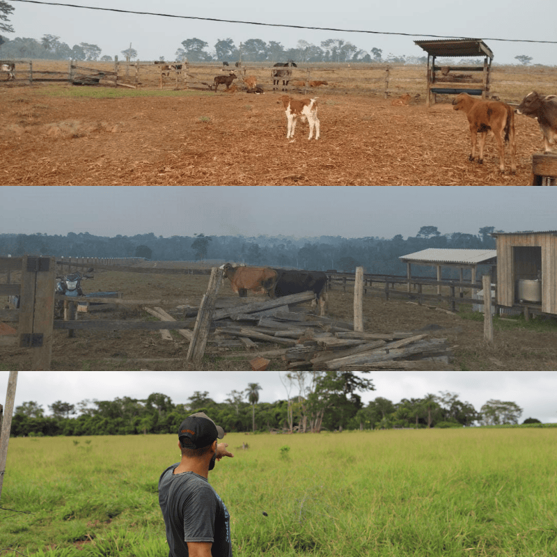 Produtor Gildeon Chavier destaca que apoio recebido do governo e do REM Acre foram essenciais para substituir práticas nocivas ao meio ambiente. Foto: cedida