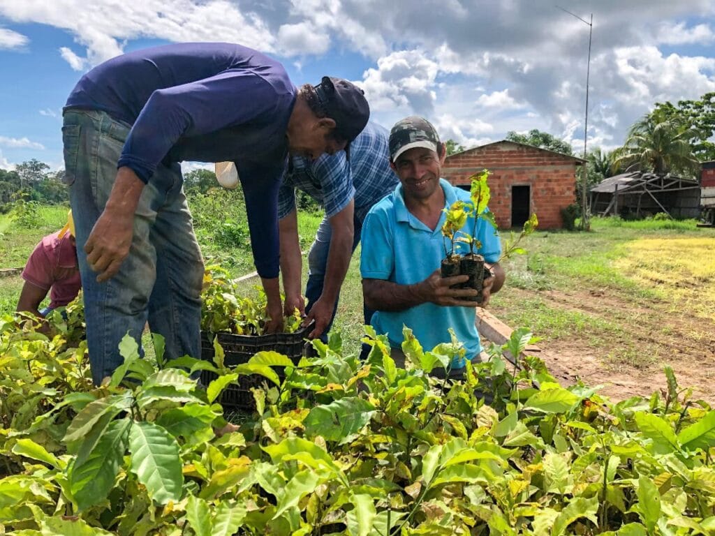 Com a nova regulamentação, produtores rurais e viveiros poderão fornecer seus itens diretamente ao poder público, em um processo mais ágil, transparente e livre de atravessadores. Foto: cedida