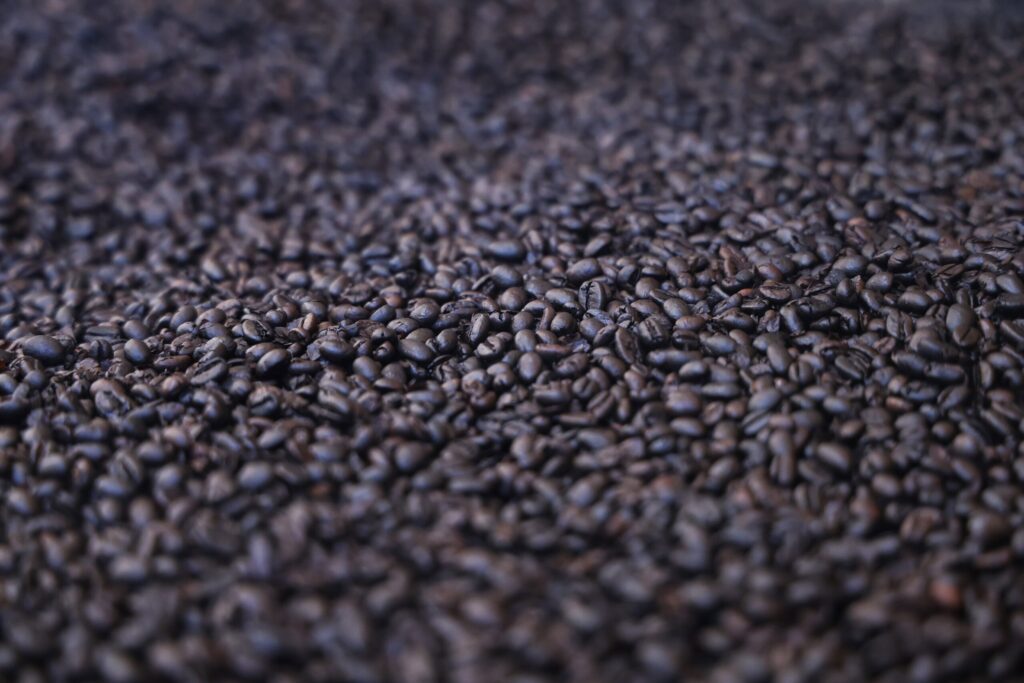 Hoje, o café acreano é sinônimo de renda, qualidade, sustentabilidade e inclusão, tornando-se referência nacional. Foto: Pedro Devani/Secom