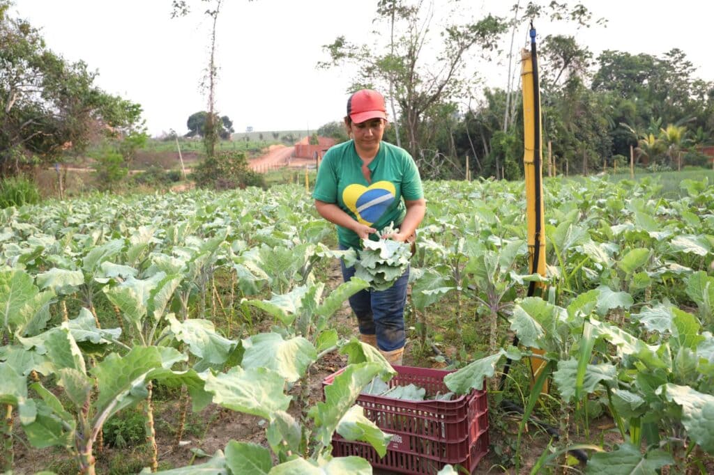 Selo estadual visa identificar e valorizar a produção de agricultura familiar do Acre. Foto: Mardilson Gomes/SEE