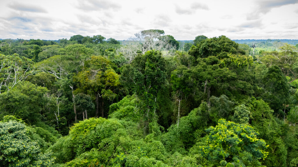 Acre cria plataforma digital de transparência ambiental participativa. Foto: Ueslêi Araújo/Sema