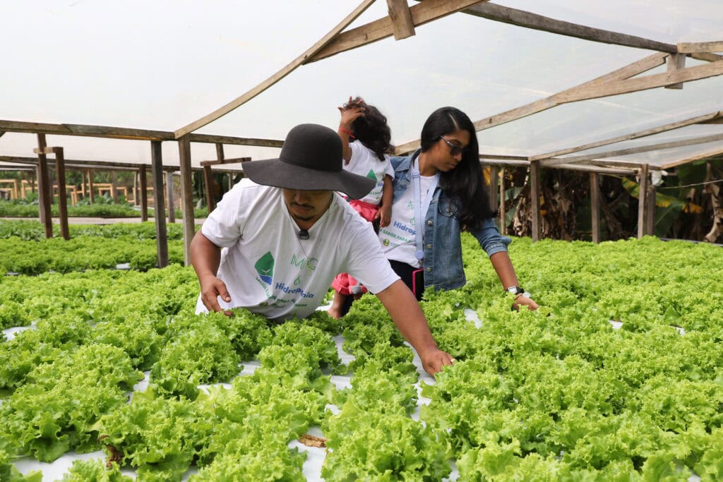 Ação garante alimentos saudáveis e regionais para os estudantes da Rede Estadual de Ensino em 2026. Foto: Mardilson Gomes/SEE