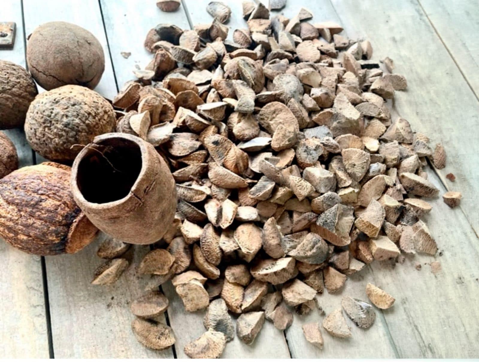 Formação prevê a capacitação de 165 produtores. Foto: cedida