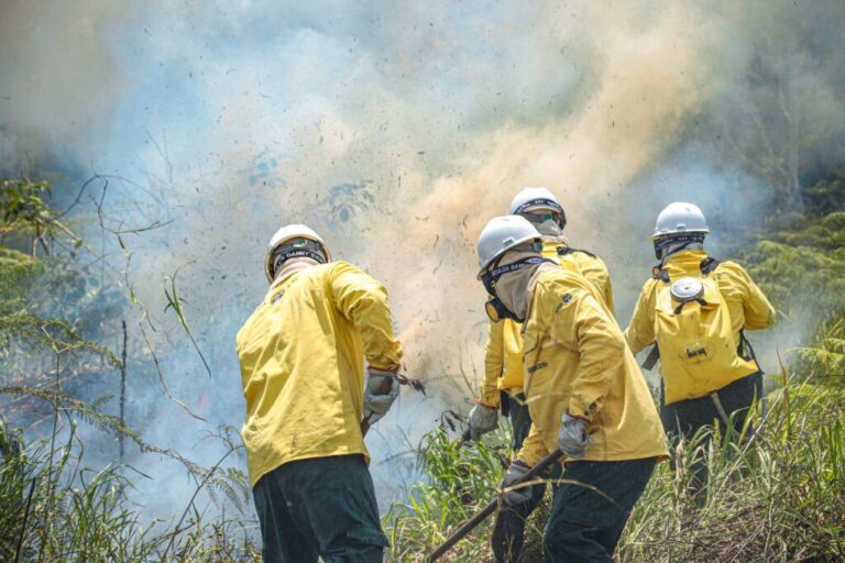 Governo do Acre lança edital para brigadistas comunitários em unidades de conservação